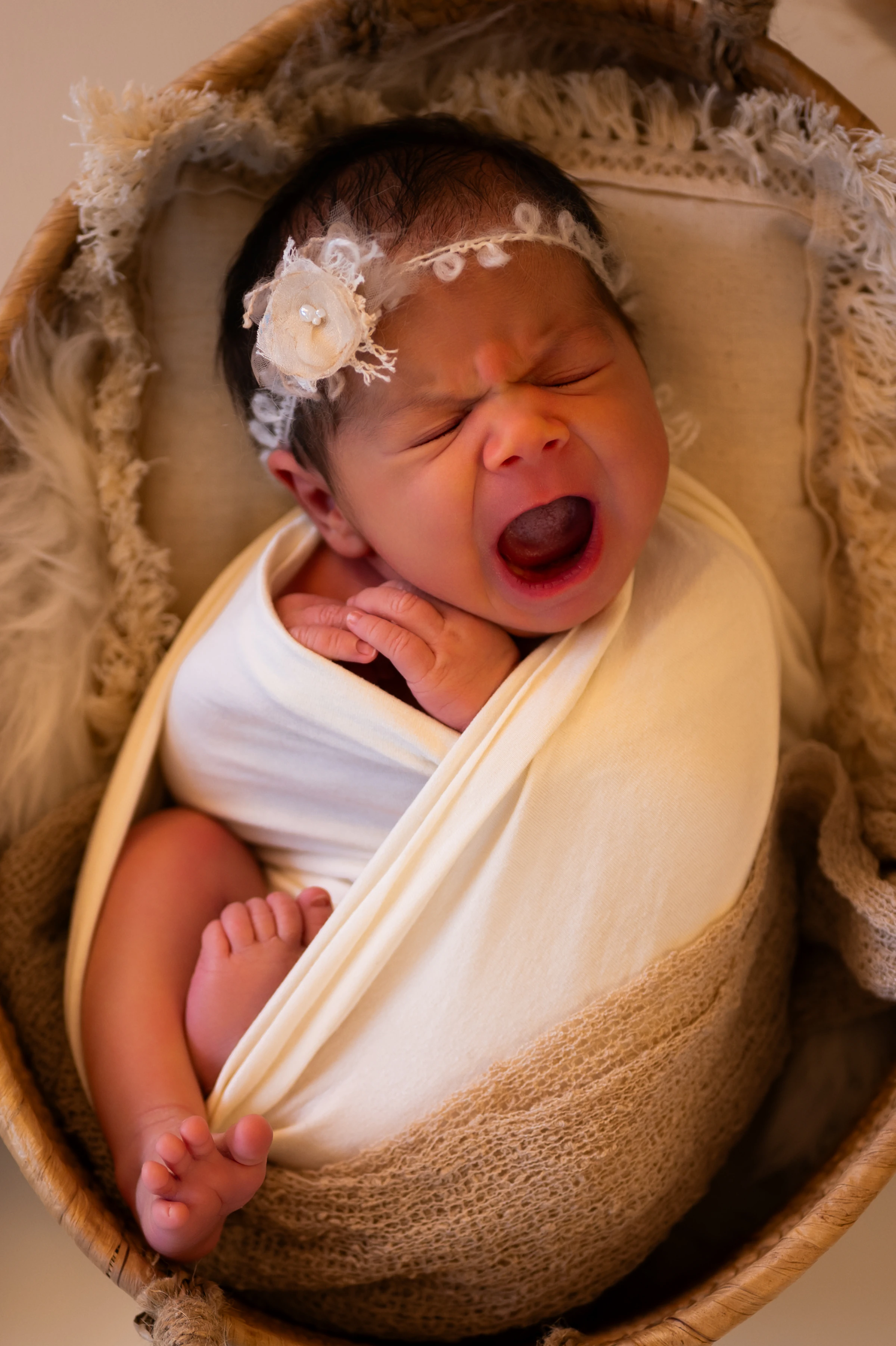 Newborn