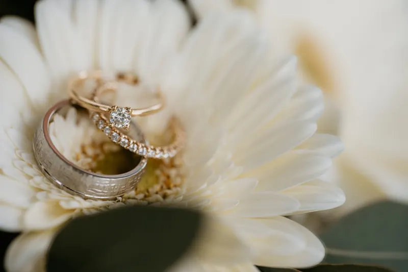 Hochzeitsfotografie im warmen Abendlicht
